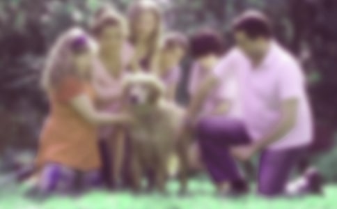 �׃��@��ͥ��������Ӌ�����x15ƪ