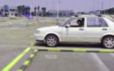 �P(gu��n)���{У���������v��