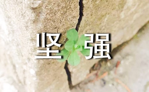 �����(ji��n)��(qi��ng)�Ȳʡ��Ľ̌W(xu��)��˼