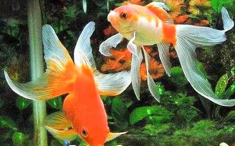 �^�������ϵĽ��~�����и�