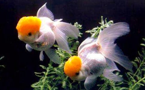 ����(sh��)���~���̌W(xu��)��˼