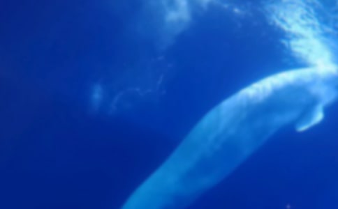 ���P(gu��n)�L�~����300����ƪ