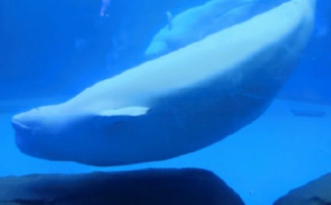 ������g(sh��)��ˮ�Ĵ��L�~�̰�