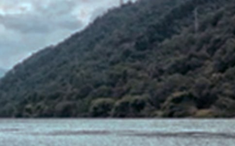 �茑(xi��)ҹ���ľ�ɫ��ɢ��