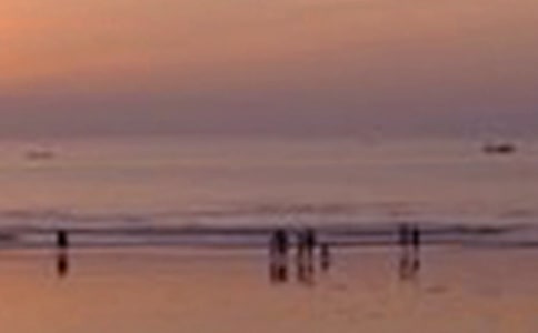 �P(gu��n)���茑(xi��)4��(y��u)����ɫ��Ψ������