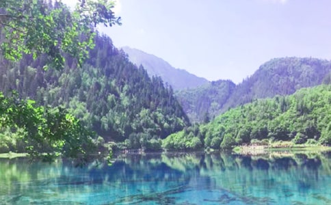 �ҵ������n ����կ�ϡ����̌W���