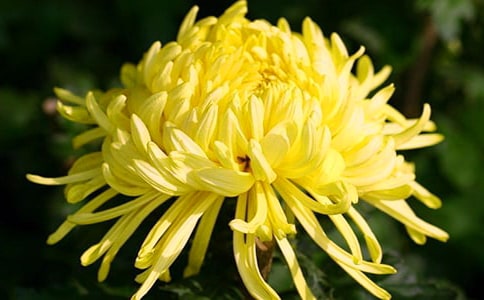 �_����ͤ�ľջ���ӛ