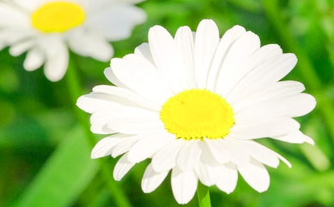 �s���S�P�����ľջ�