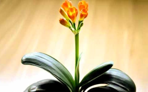 ���^�����m��ѿ��ӛ��ͨ��20ƪ��