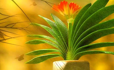 2017�����ľ����m����