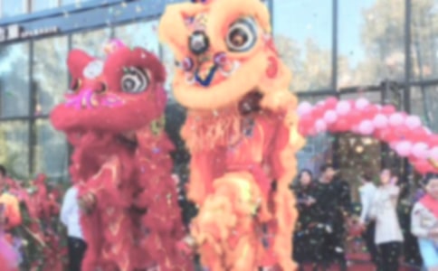 新公司開業(yè)典禮老板發(fā)言稿范文(通用6篇)