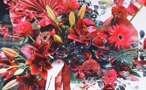 ��_��ף���Z����