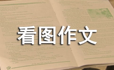 有關二年級看圖作文300字集錦8篇