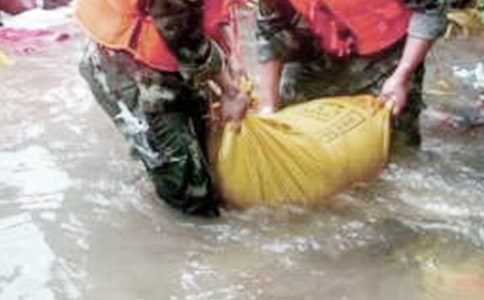 ���铌�U(xi��n)�đ�(y��ng)���A(y��)�����ģ�ͨ��13ƪ��