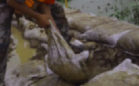 �¿���Ȟ�Ӣ�۵ĸ��x�ţ����x14ƪ��