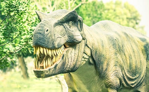 ���������̌W��˼15ƪ