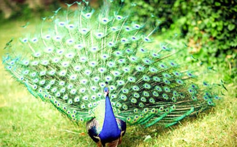 ��ȸ�|���w��x����