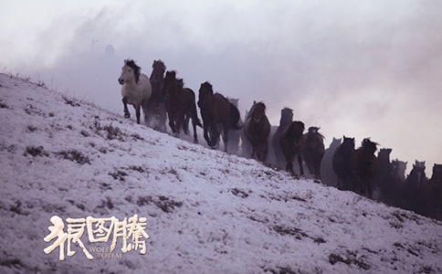 狼圖騰經(jīng)典語句摘抄