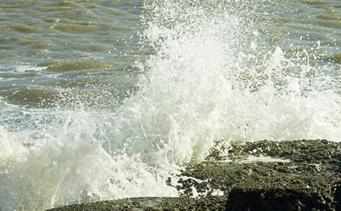 �옷���˻��W(w��ng)�j(lu��)ɢ��