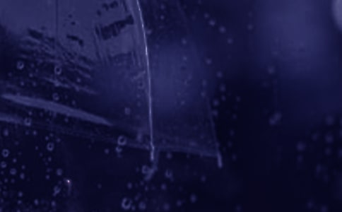 �������挍�����