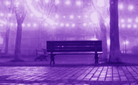 ������������4ƪ