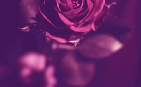 �������ČW����