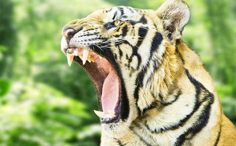 ���ϻ��ҳԵ��Ї�(gu��)ͯԒ