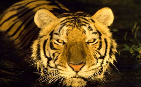 ���B�ϻ�������600�ֺϼ�6ƪ