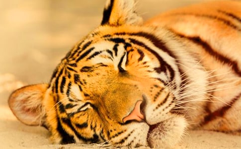 ������g(sh��)�̰����ϻ���