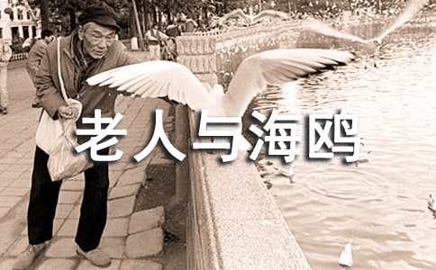 老人與海鷗課外書讀書感想