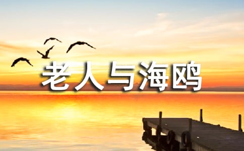 《老人與海鷗》閱讀心得