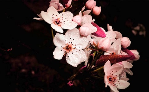 �� �滨���_��ɢ��