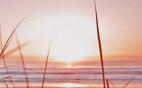 相信黎明會(huì)再一次出現(xiàn)散文