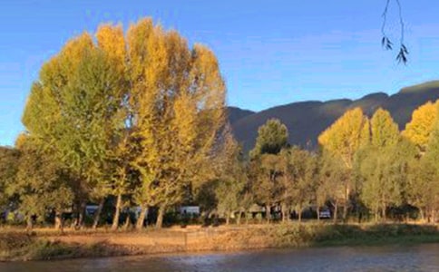 漫步麗江古城的散文