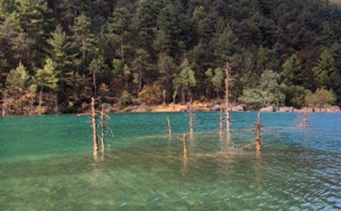 �������ɢ��