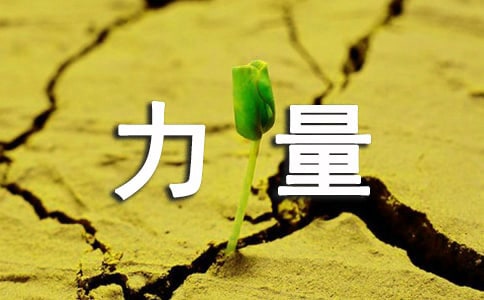 �F(tu��n)�Y(ji��)����������}����(hu��)�̰�