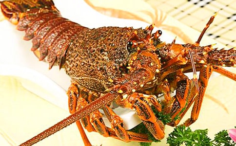 【熱門】三年級(jí)龍蝦作文三篇