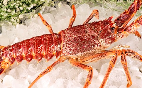 ��B��ʳ���r�����f����