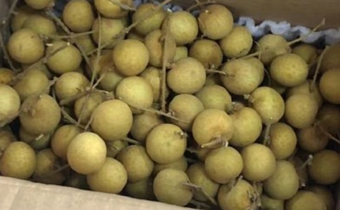 ���l(xi��ng)����������400��