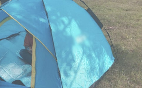 �����x��¶�I(y��ng)С�W(xu��)������ƪ