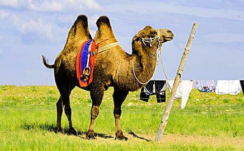 ������򡷽̌W(xu��)��˼