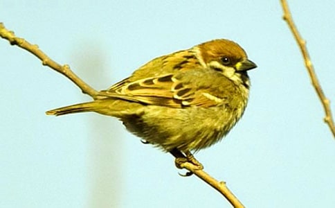 С��ȸ����500��