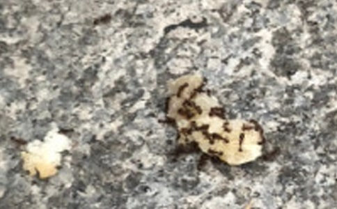 СΛρ�s·�̰�