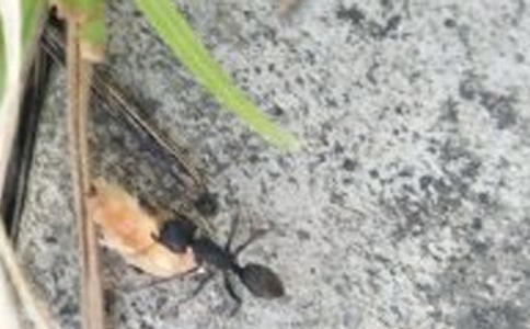 ˇ�g(sh��)���(d��ng)Λρ�ᶹ�̌W(xu��)�̰�