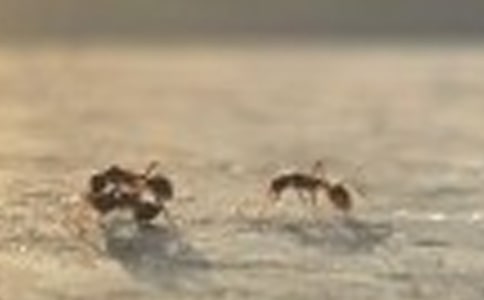 Λρ?zh��n)߽̰?ƪ