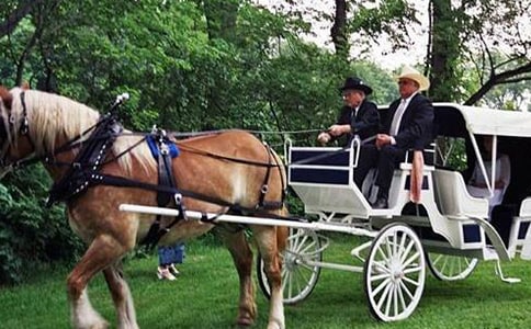 王子的馬車的哲理故事