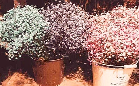 ����Ȧ��M���ǻ��Ķ��Z