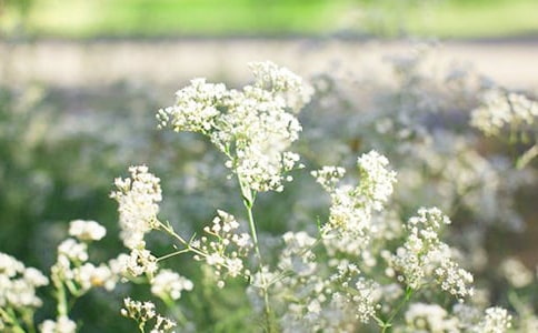 �M�������꼉(j��)����