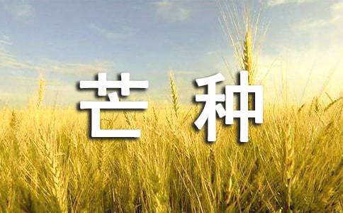 關(guān)于芒種文案(精選11篇)