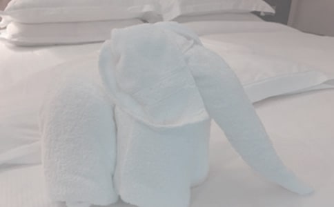 我學會了洗毛巾作文250字